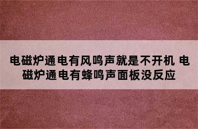 电磁炉通电有风鸣声就是不开机 电磁炉通电有蜂鸣声面板没反应